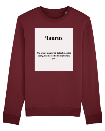 Taurus 407 Burgundy