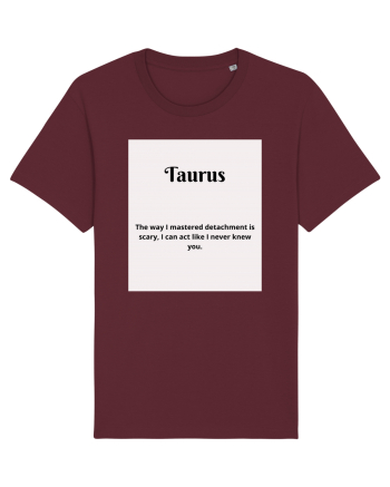 Taurus 407 Burgundy
