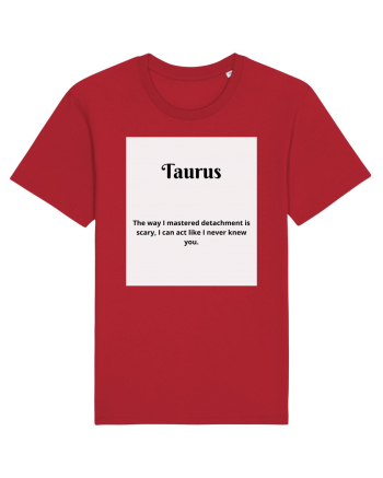 Taurus 407 Red