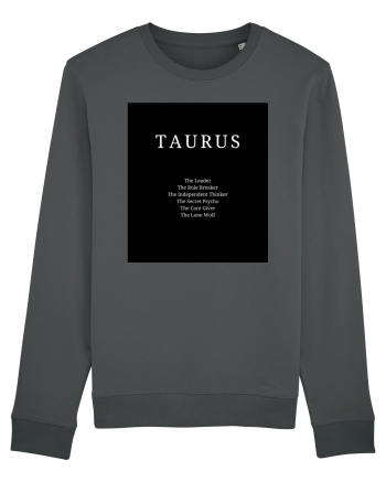 Taurus 401 Anthracite