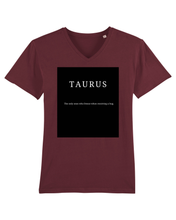 Taurus 400 Burgundy