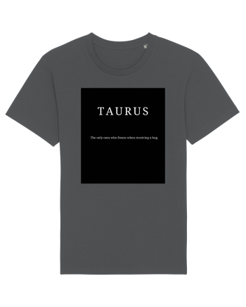 Taurus 400 Anthracite