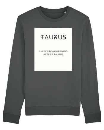 Taurus 405 Anthracite