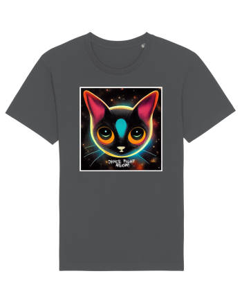 dance cat Anthracite