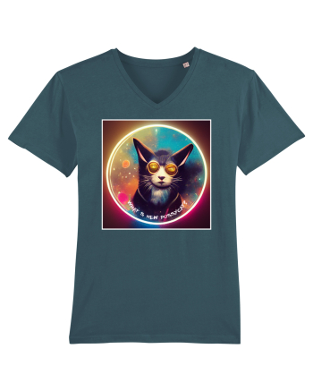 pussycat Stargazer
