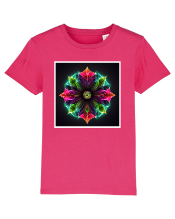 mandala  Raspberry