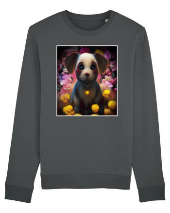 very cute dog Anthracite