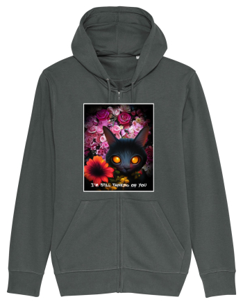 pisica neagra Anthracite