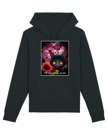 pisica neagra Black