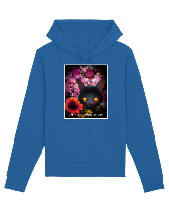 pisica neagra Royal Blue