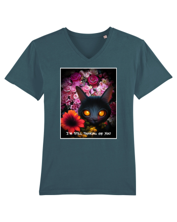 pisica neagra Stargazer