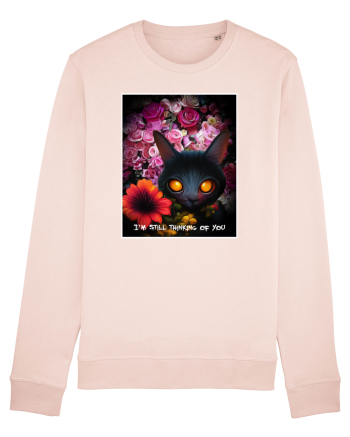 pisica neagra Candy Pink