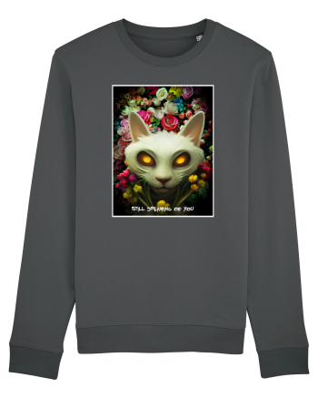 white cat Anthracite