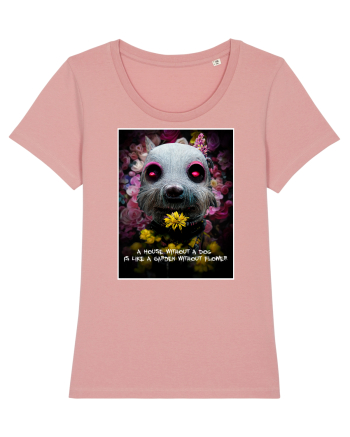 dog in garden Canyon Pink
