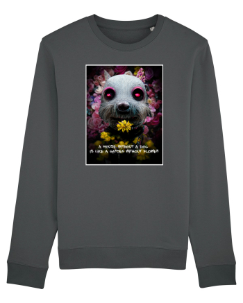 dog in garden Anthracite