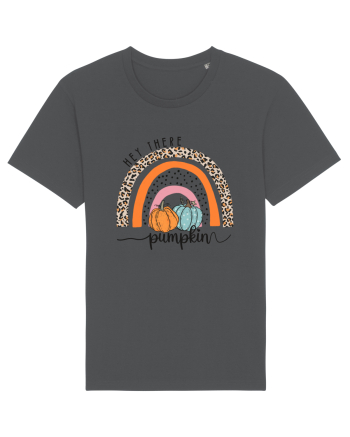 Pumpkin Rainbow Anthracite