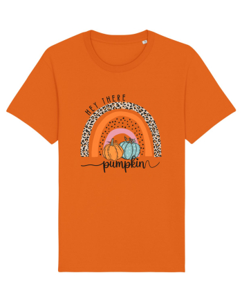 Pumpkin Rainbow Bright Orange
