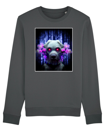 matrix dog Anthracite