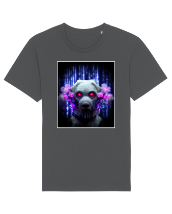 matrix dog Anthracite