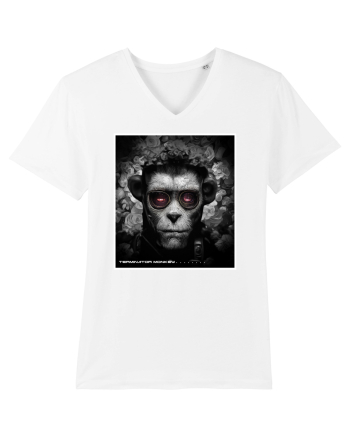 black and white monkey White