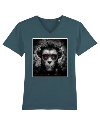 black and white monkey Stargazer