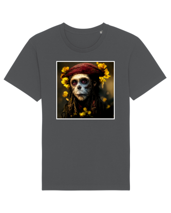 jack sparow as monkey Anthracite