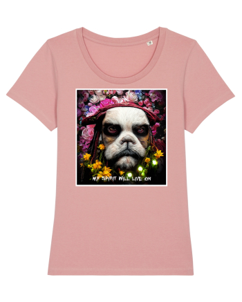 jack sparow as dog Canyon Pink