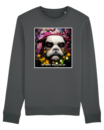 jack sparow as dog Anthracite
