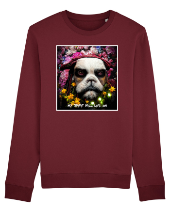 jack sparow as dog Burgundy