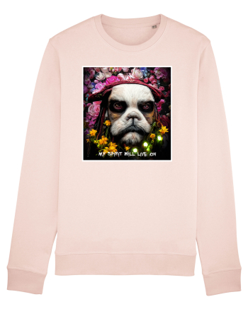 jack sparow as dog Candy Pink