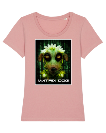 matrix dog Canyon Pink