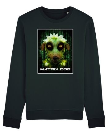 matrix dog Black