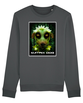 matrix dog Anthracite