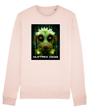 matrix dog Candy Pink
