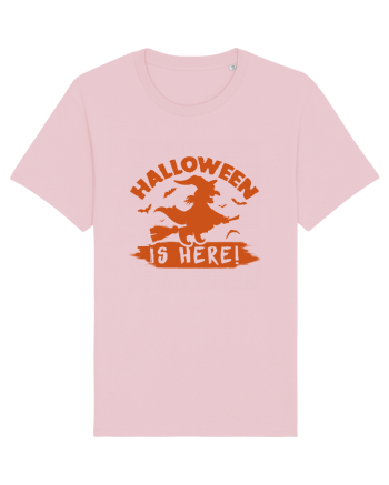 Halloween is here! Cotton Pink
