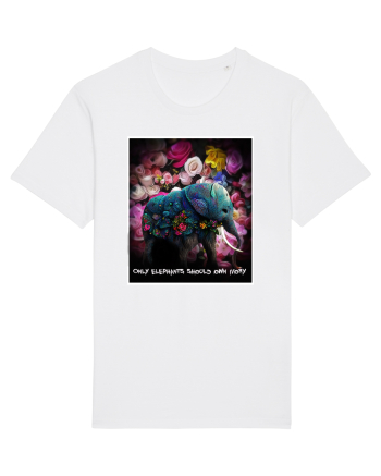 elefant  White