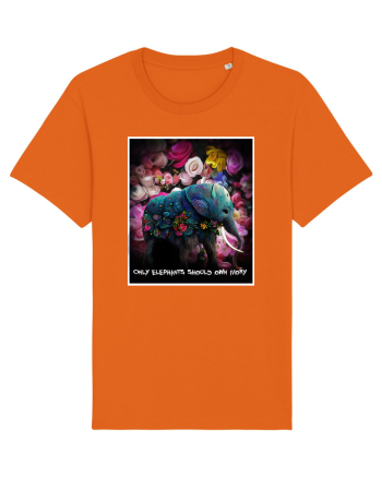 elefant  Bright Orange