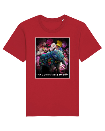 elefant  Red
