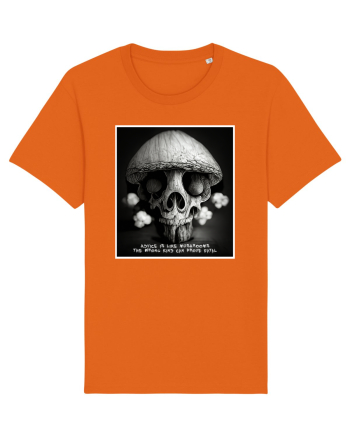 ciuperca Bright Orange