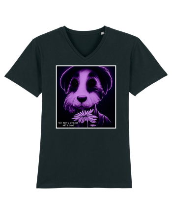 purple dog Black