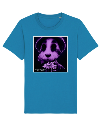 purple dog Azur
