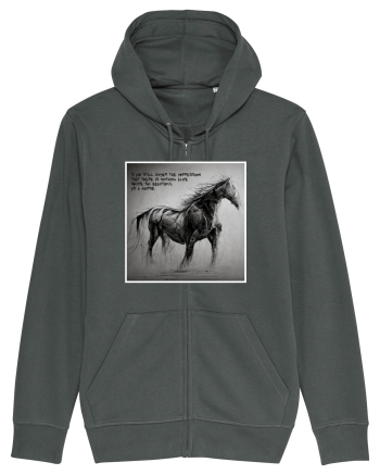 beautiful horse Anthracite