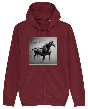 beautiful horse Burgundy