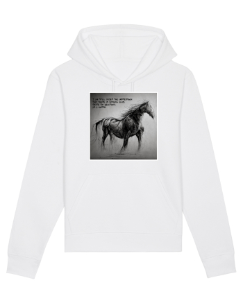 beautiful horse White