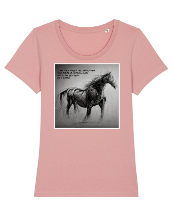 beautiful horse Canyon Pink