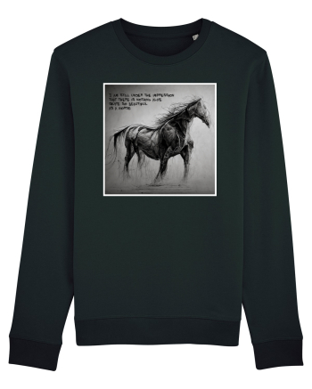 beautiful horse Black