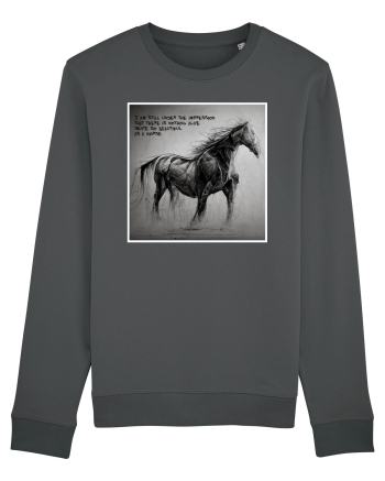 beautiful horse Anthracite