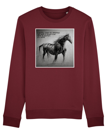 beautiful horse Burgundy