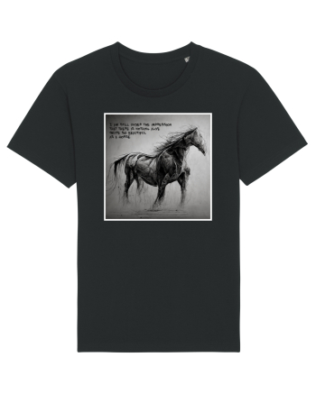 beautiful horse Black