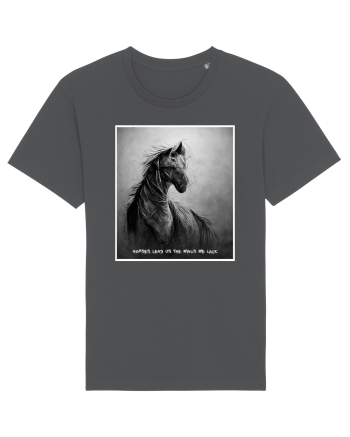 horses wings Anthracite